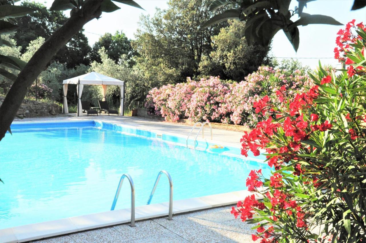 Agriturismo Pereti Roccatederighi Extérieur photo