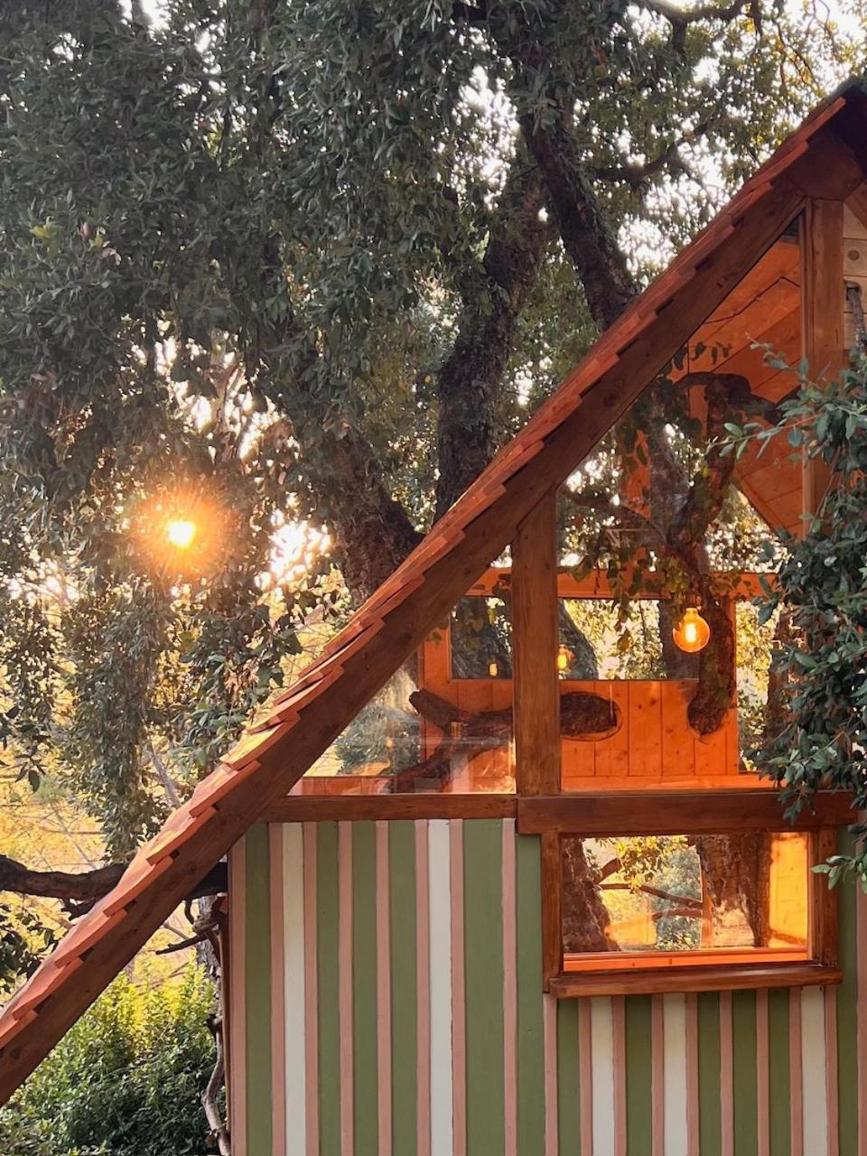 Agriturismo Pereti Roccatederighi Extérieur photo