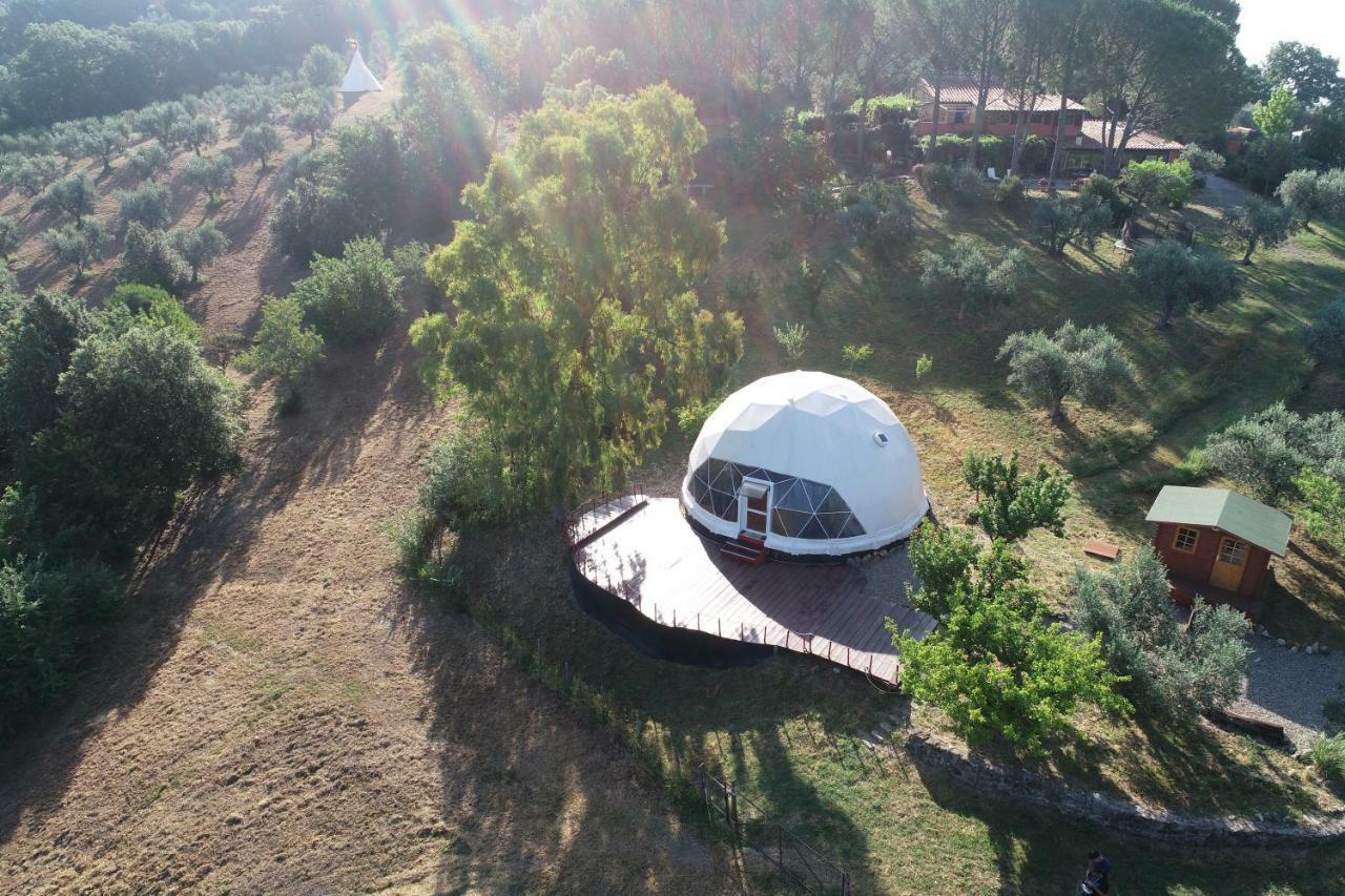 Agriturismo Pereti Roccatederighi Extérieur photo