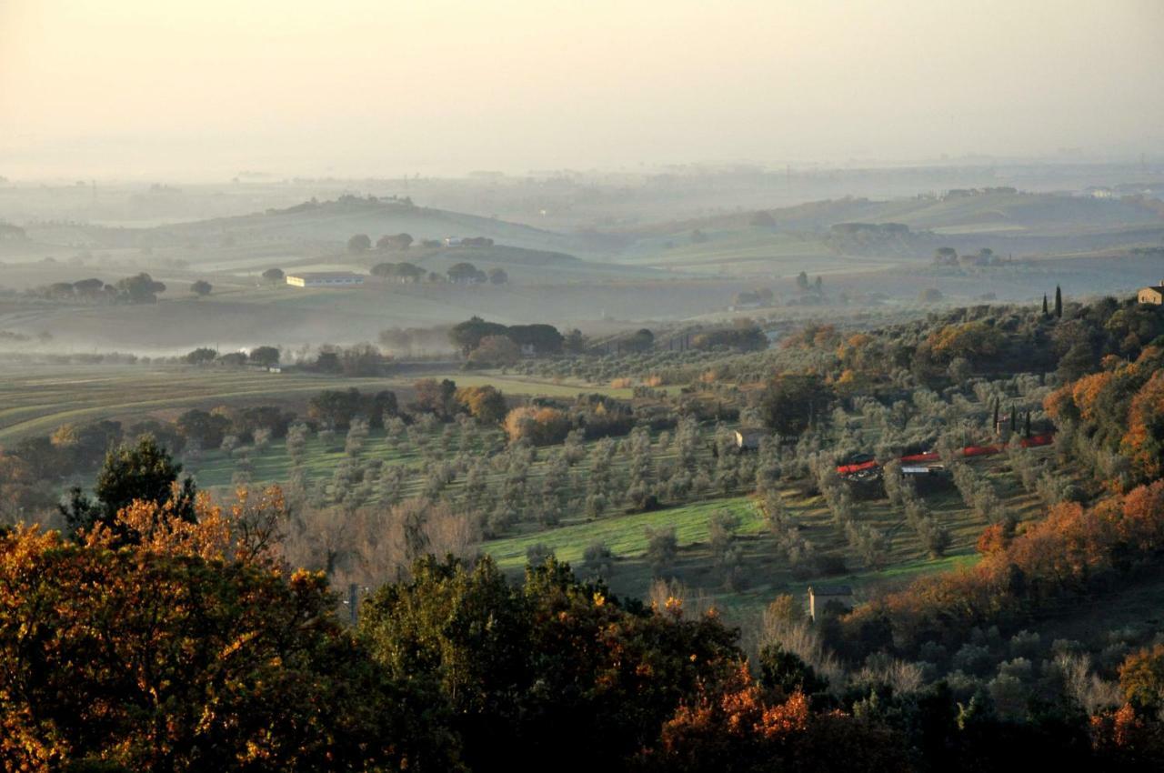 Maison d'hôtes Agriturismo Pereti à Roccatederighi Extérieur photo